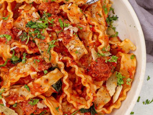 Bolognese koylagi va paltolari fetish