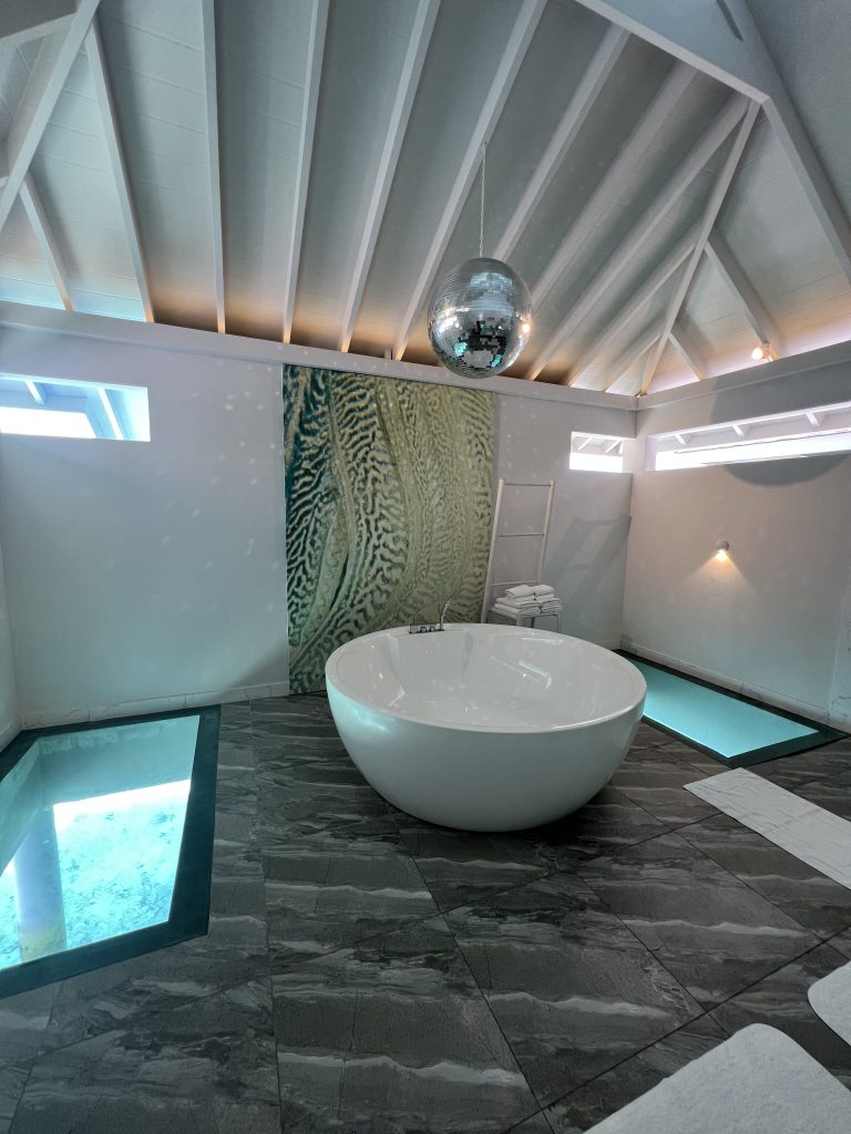 Overwater Villa - Bathroom