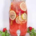 Astronaut Drink - Drinks bowle til 15 Personer | Gourministeriet
