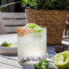 Spicy Margarita – Frisk, syrlig og med et lækkert kick