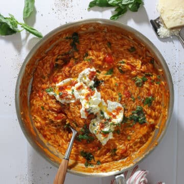 Spicy orzo med nduja, friske tomater og burrata