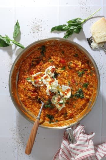 Spicy orzo med nduja, friske tomater og burrata