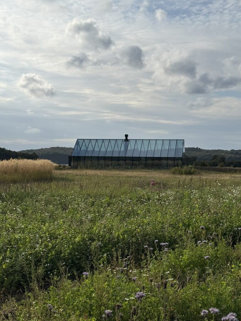 Glasbygning med saddeltag set over blomstrende eng under skyet himmel.