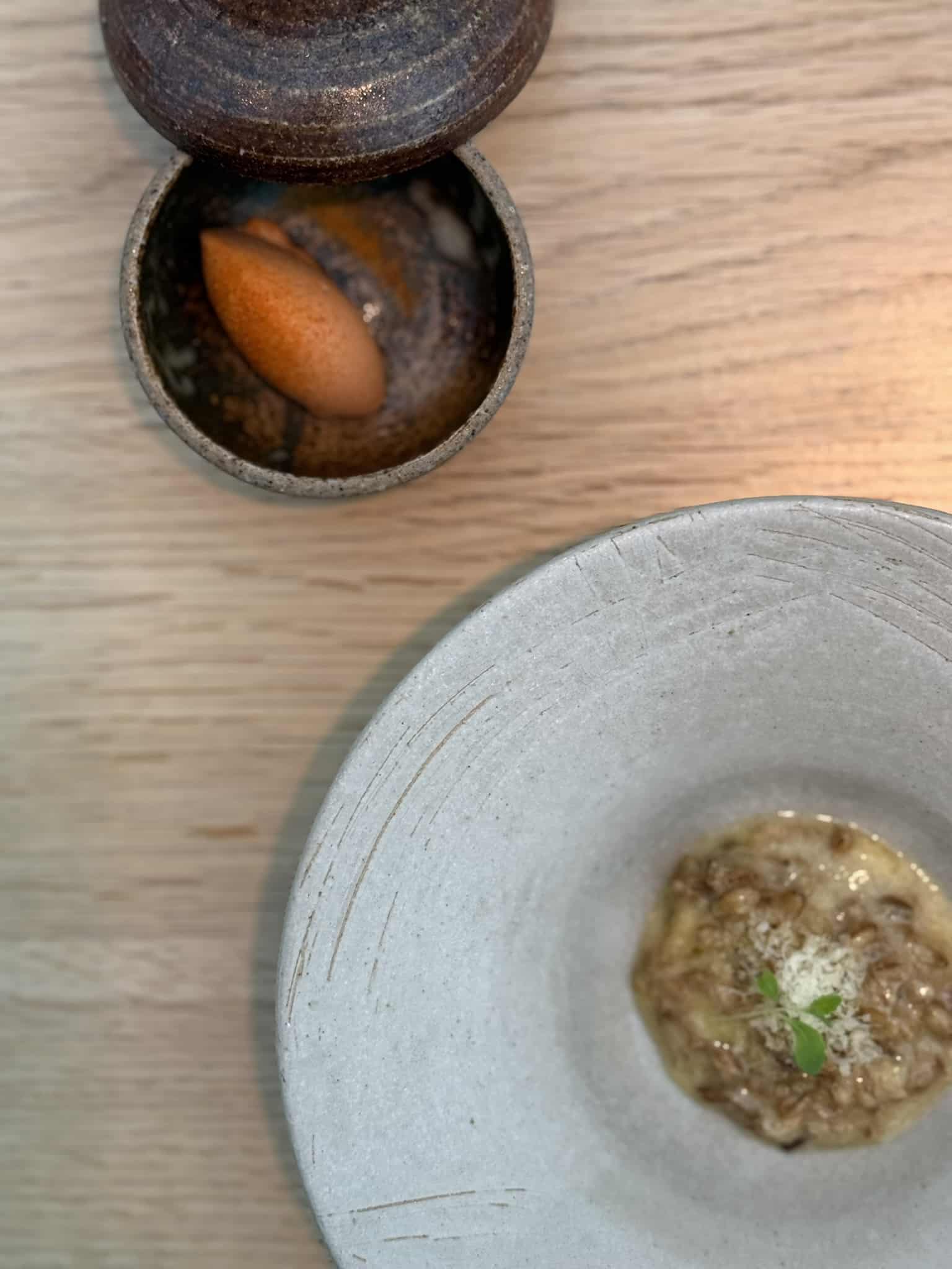Keramikskål med grynet ret, revet ost og urt samt lille skål med orange quenelle