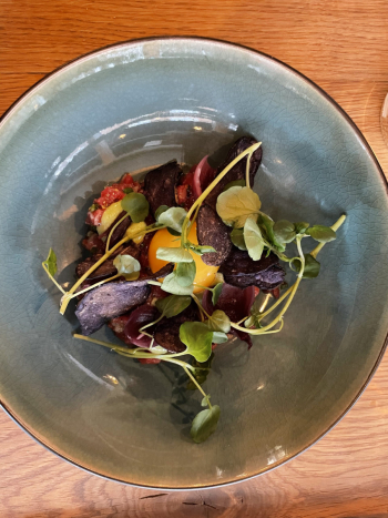 Fransisco i Helsingør
