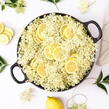 Hyldeblomstsaft - Opskrift på lækker hyldeblomstsaft med citron