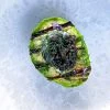 Grillet avocado med caviar - Opskrift på grillet avocado med caviar